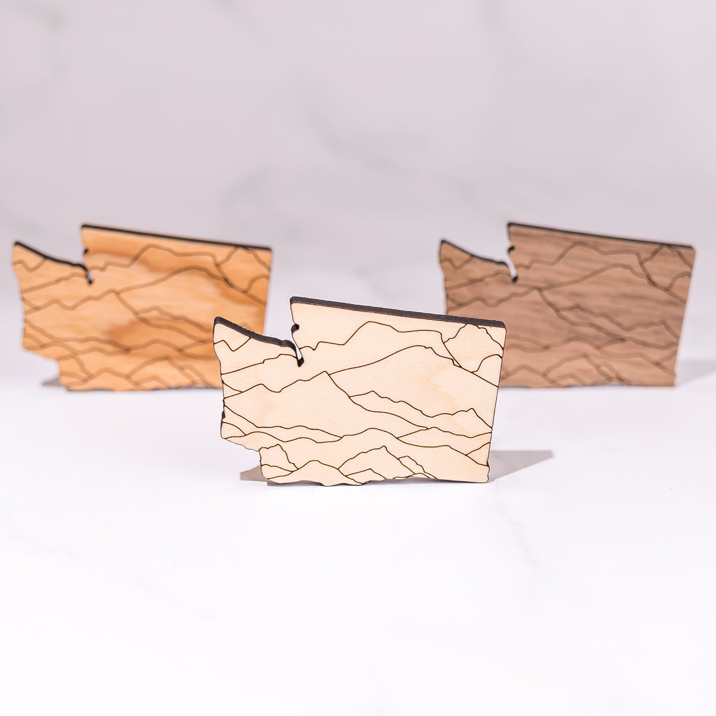 Decorative Magnets - Washington Mountains