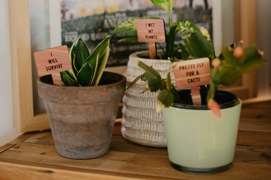 Plant Tags - Cedar Wood - "I Will Survive" - by LeeMo Designs in Bend, Oregon