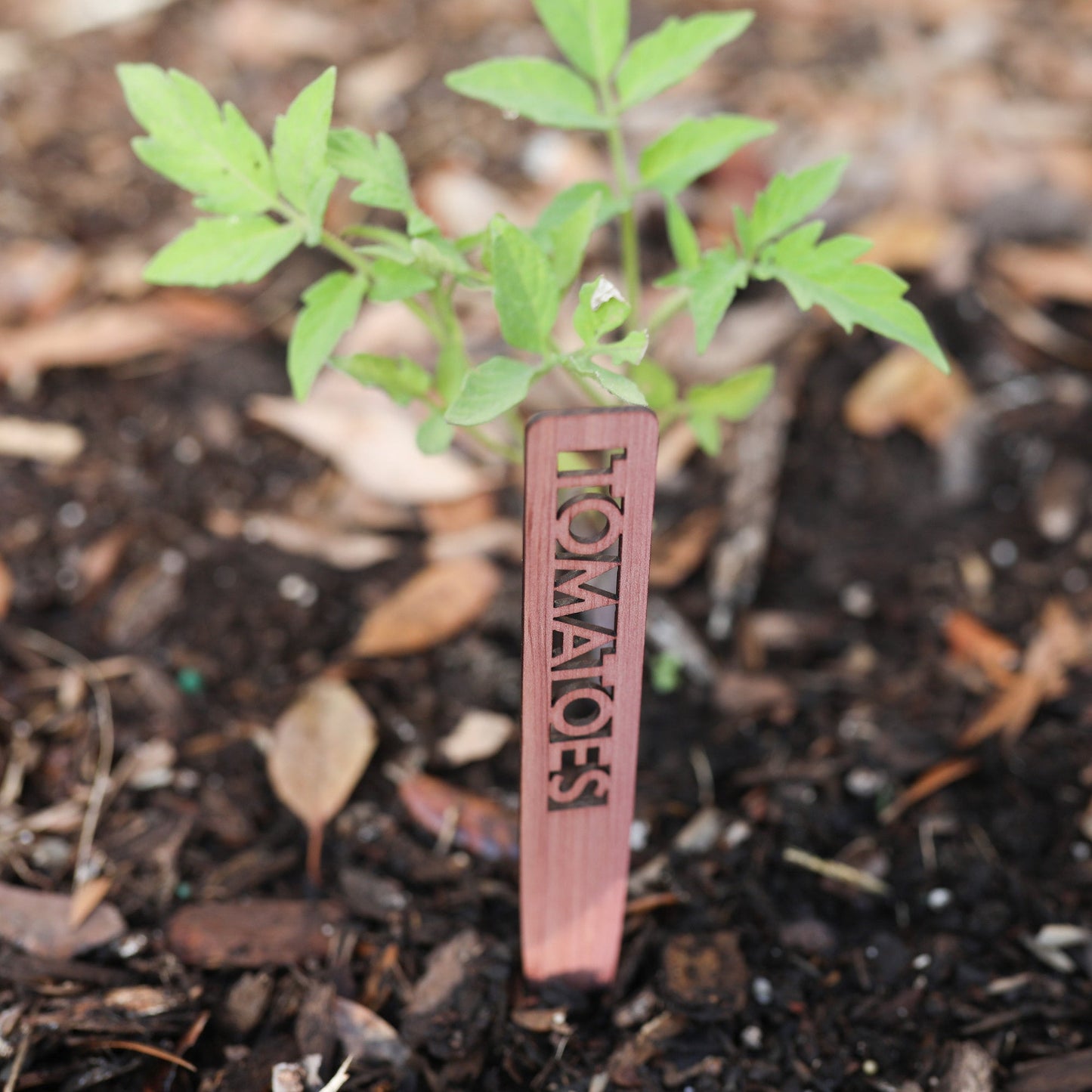 Vegetable Garden Marker Laser Cut Cedar Wood Tomatoes by LeeMo Designs in Bend, OR