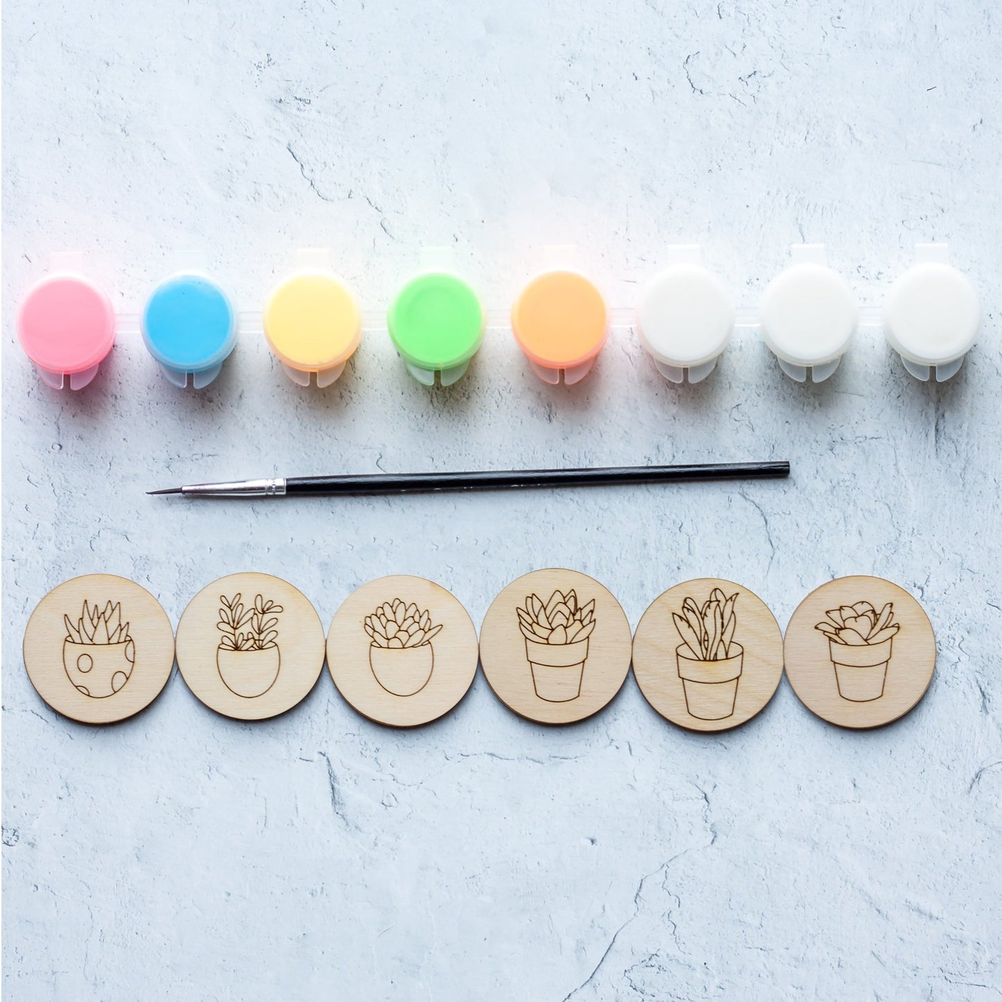 DIY Magnets - Make your own magnets succulent kit - by LeeMo Designs in Bend, Oregon