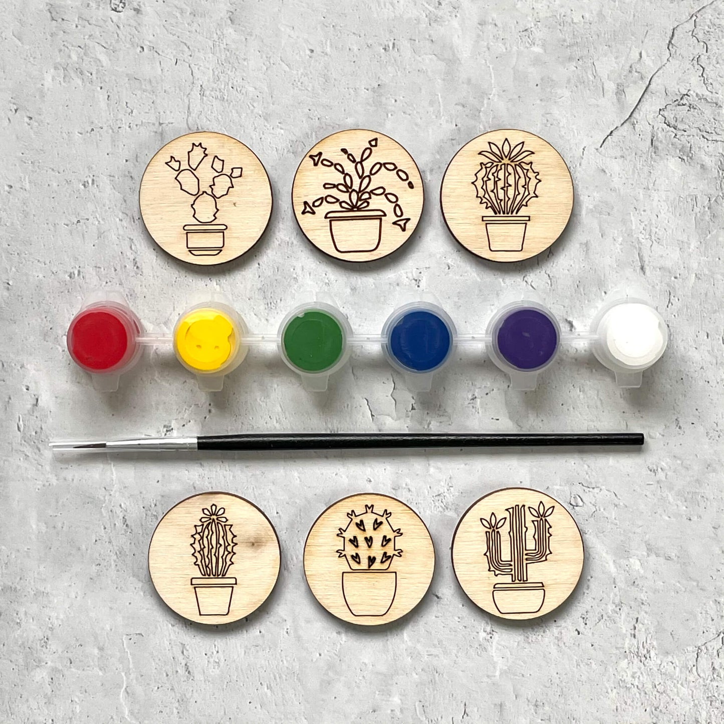 DIY Magnets - Cacti - LeeMo Designs