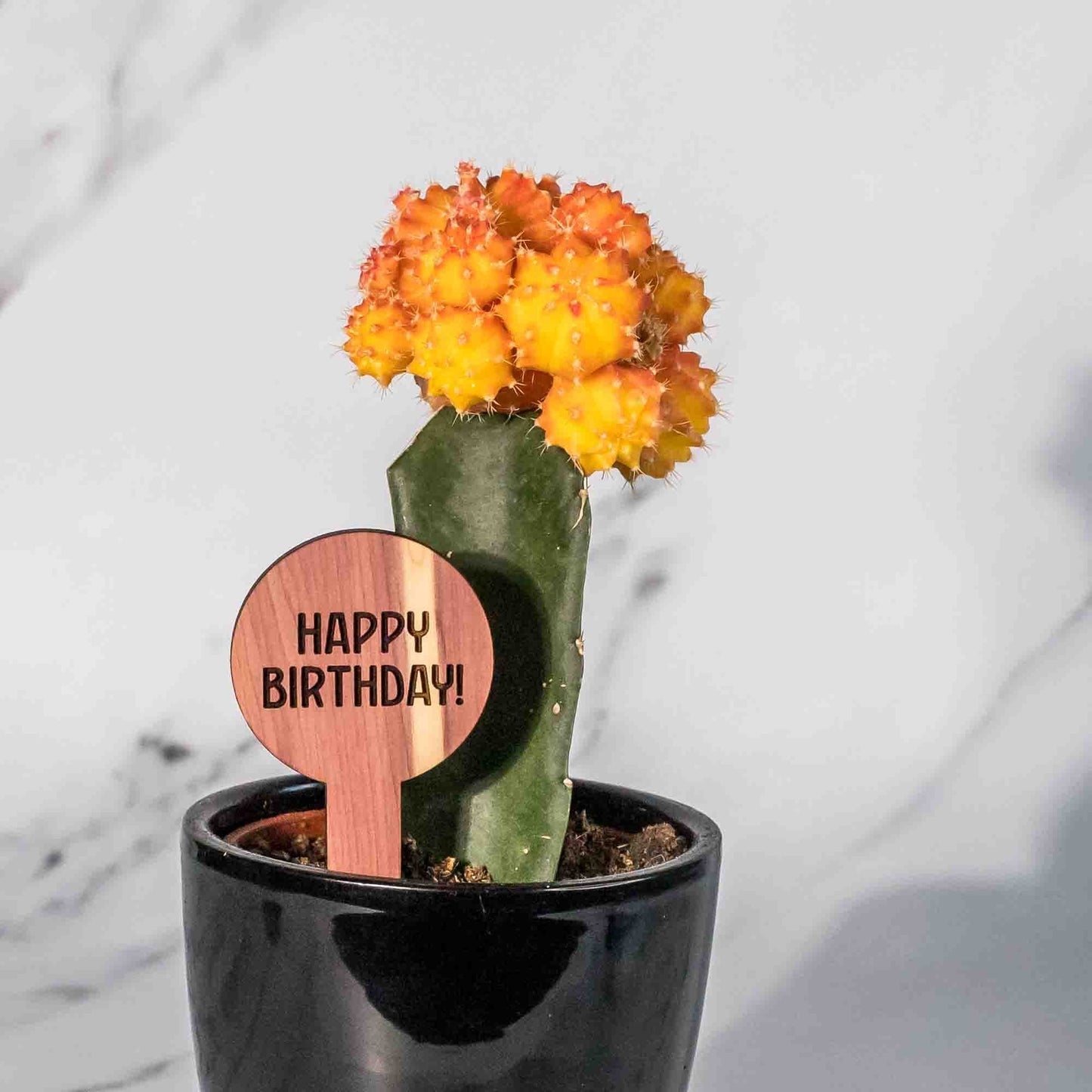 Plant Tags - Circular - LeeMo Designs