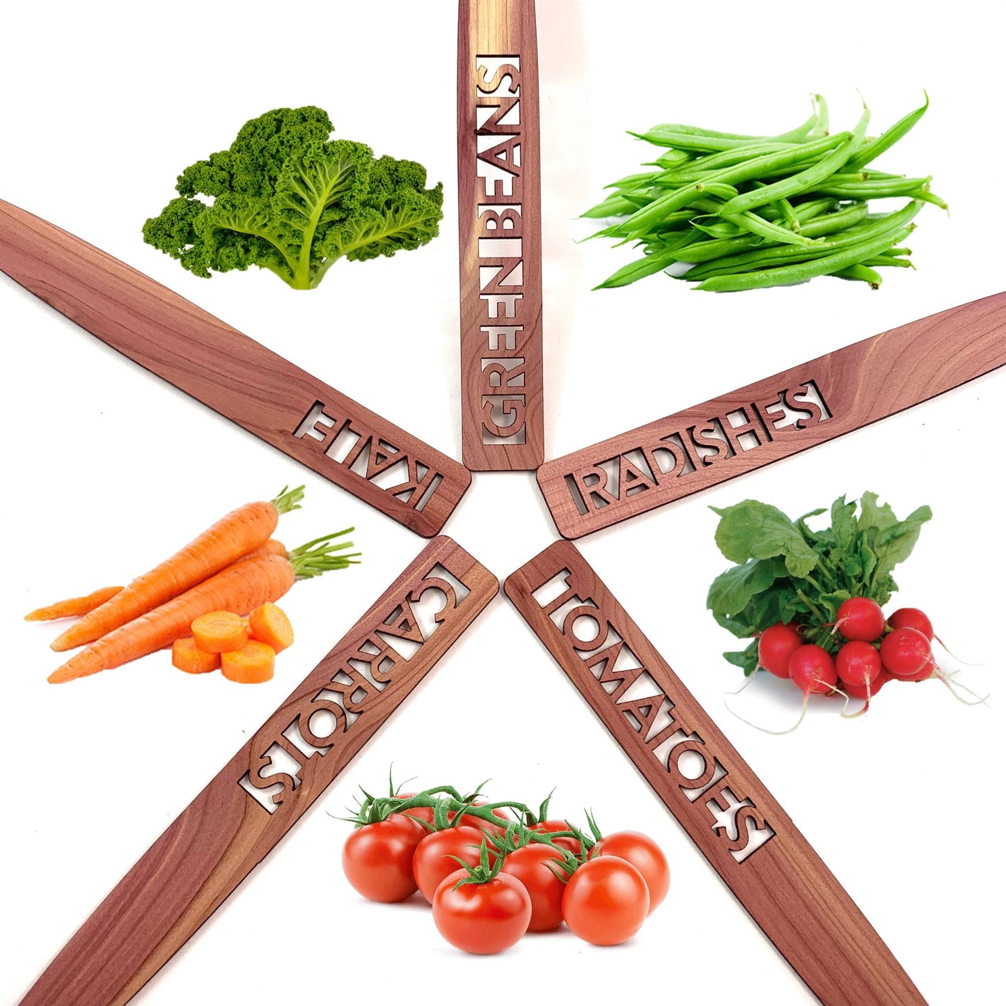 Vegetable Garden Marker Set - Laser Cut Cedar Wood Markers - Green Beans, Radishes, Tomatoes, Carrots, Kale - by LeeMo Designs in Bend, OR