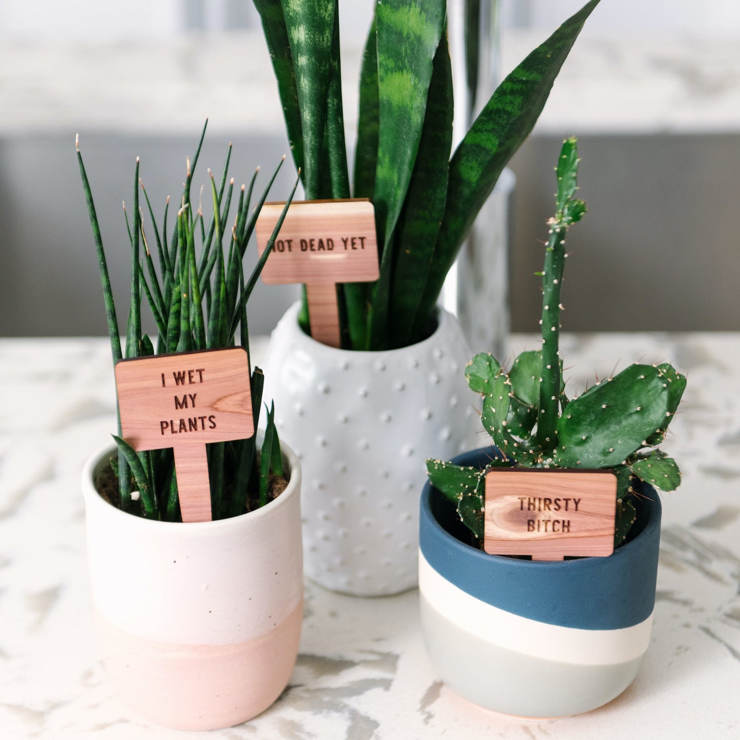 Plant Tags - Cedar Wood - "I Wet My Plants" - by LeeMo Designs in Bend, Oregon