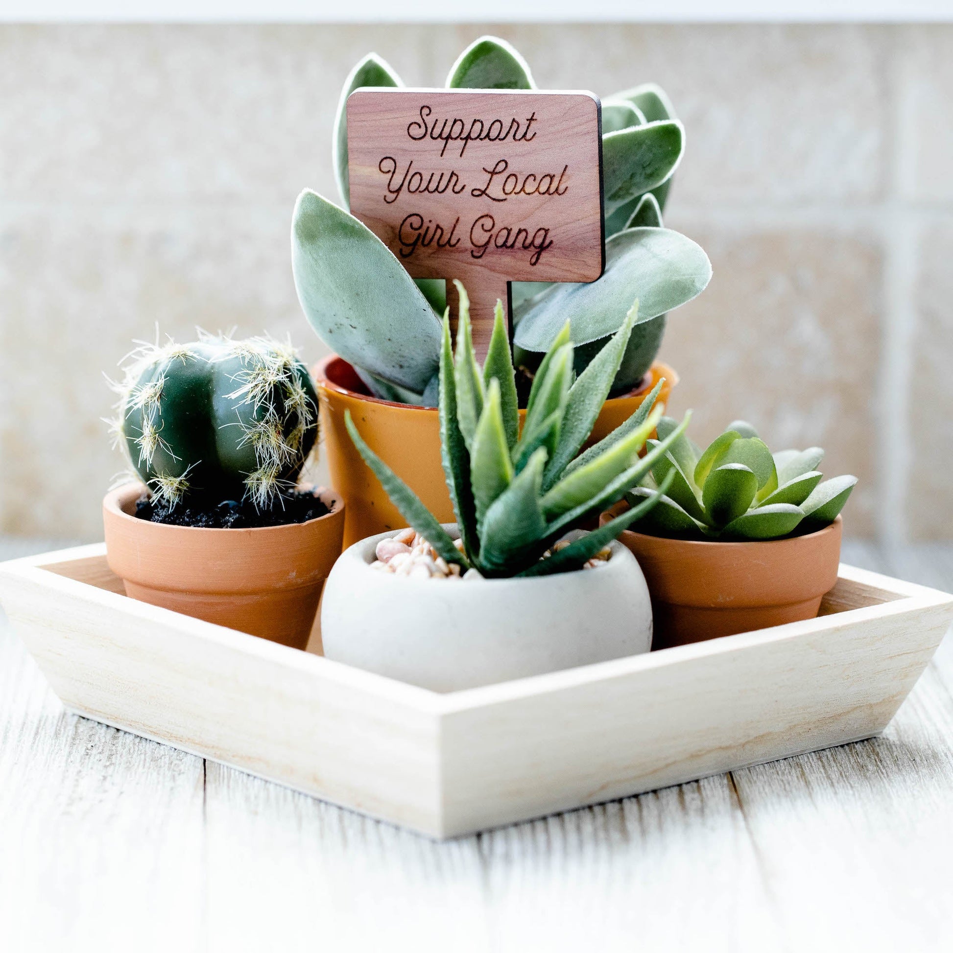 Plant Tags - Cedar Wood - "Support Your Local Girl Gang" - by LeeMo Designs in Bend, Oregon