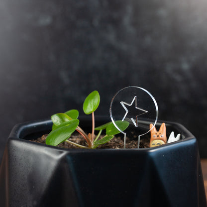 Funny Plant Markers - Laser Cut & Laser Engraved Clear Acrylic - Star - by LeeMo Designs in Bend, Oregon