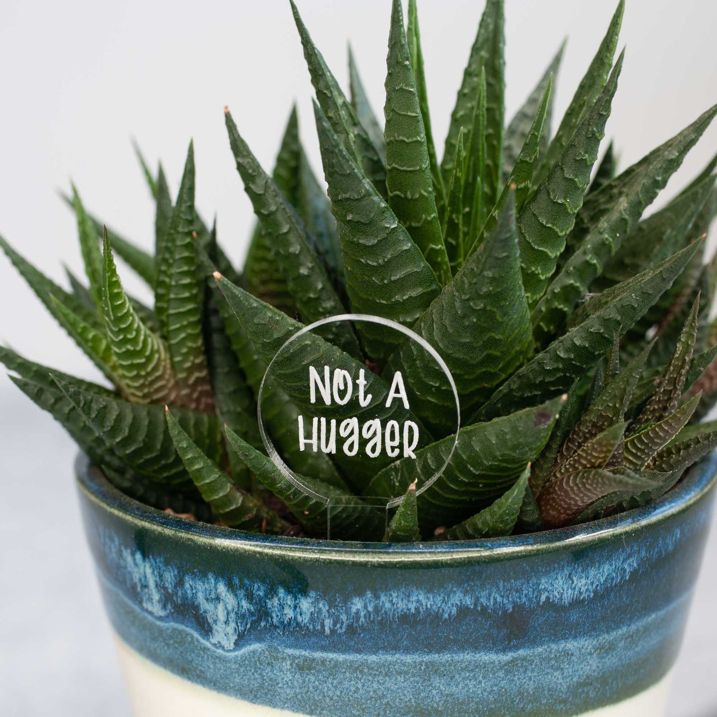 Funny Plant Markers - Laser Cut & Laser Engraved Clear Acrylic - "Not A Hugger" - by LeeMo Designs in Bend, Oregon