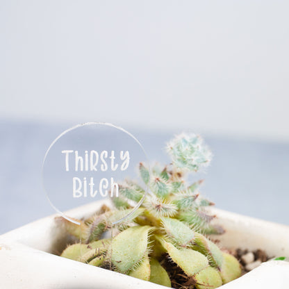 Funny Plant Markers - Laser Cut & Laser Engraved Clear Acrylic - "Thirsty Bitch" - by LeeMo Designs in Bend, Oregon