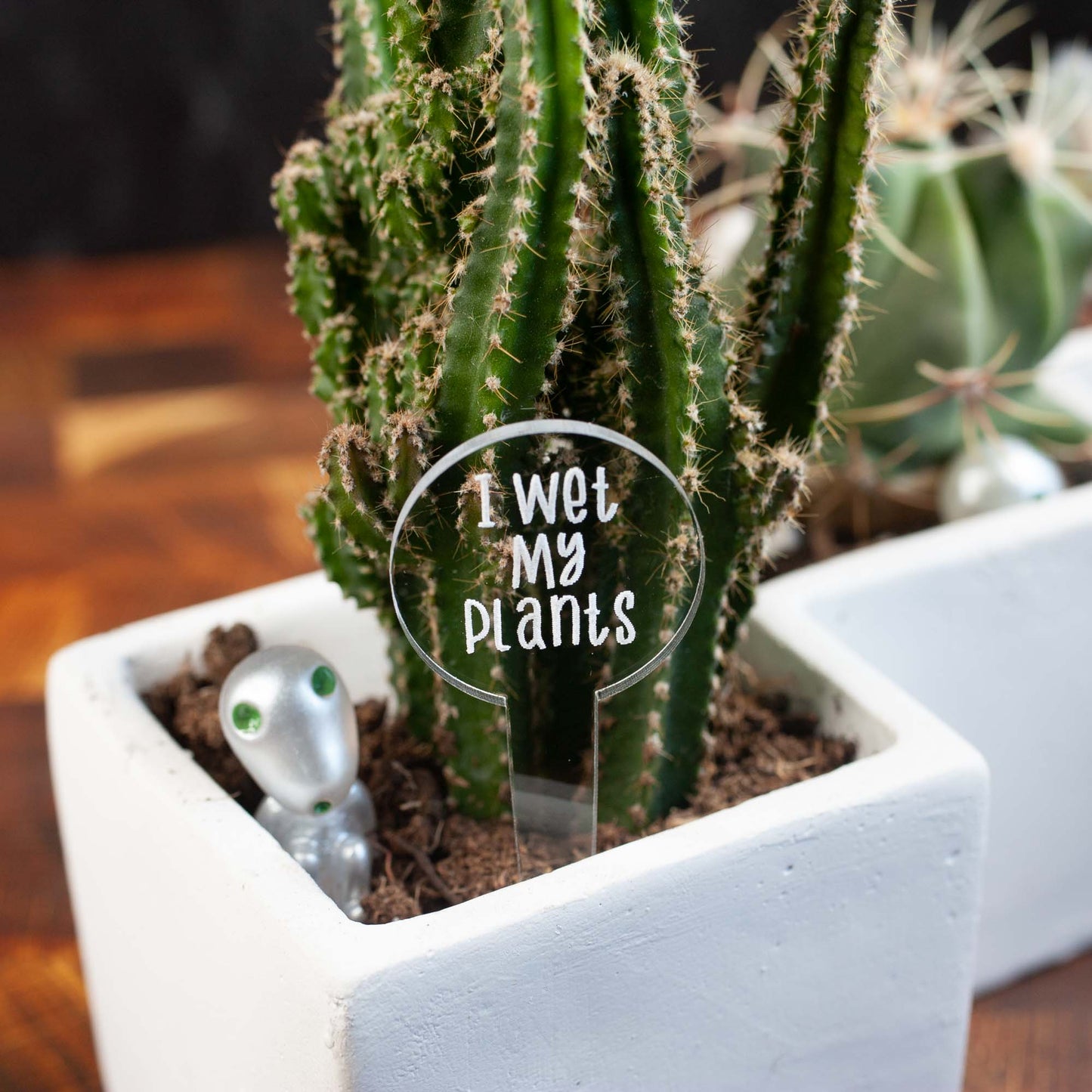 Funny Plant Markers - Laser Cut & Laser Engraved Clear Acrylic - "I Wet My Plants" - by LeeMo Designs in Bend, Oregon