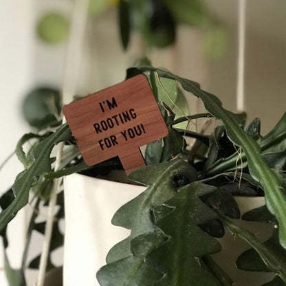 Plant Tags - Cedar Wood - "I'm Rooting For You!" - by LeeMo Designs in Bend, Oregon