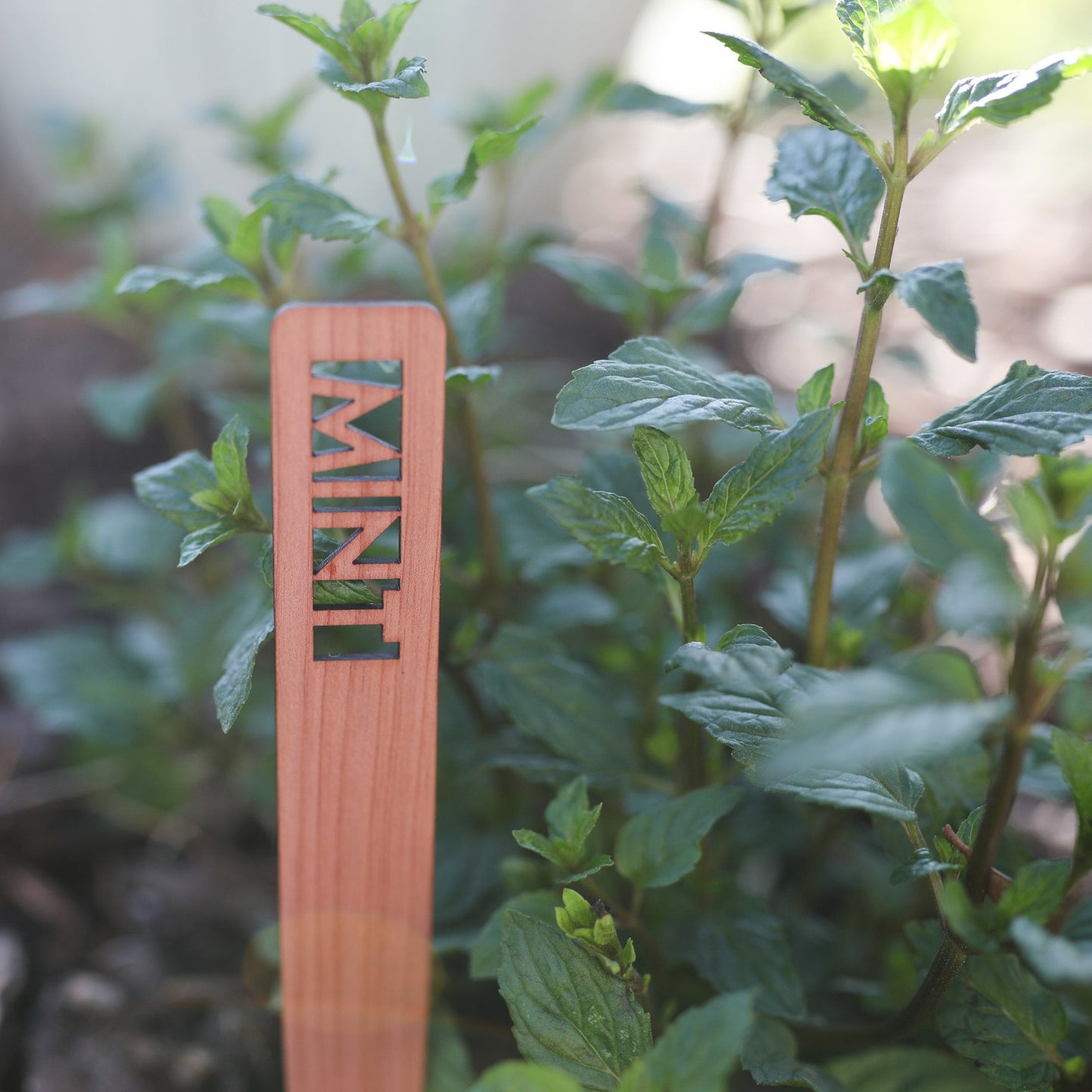 Herb Garden Marker Laser Cut Cedar Wood Mint by LeeMo Designs in Bend, OR