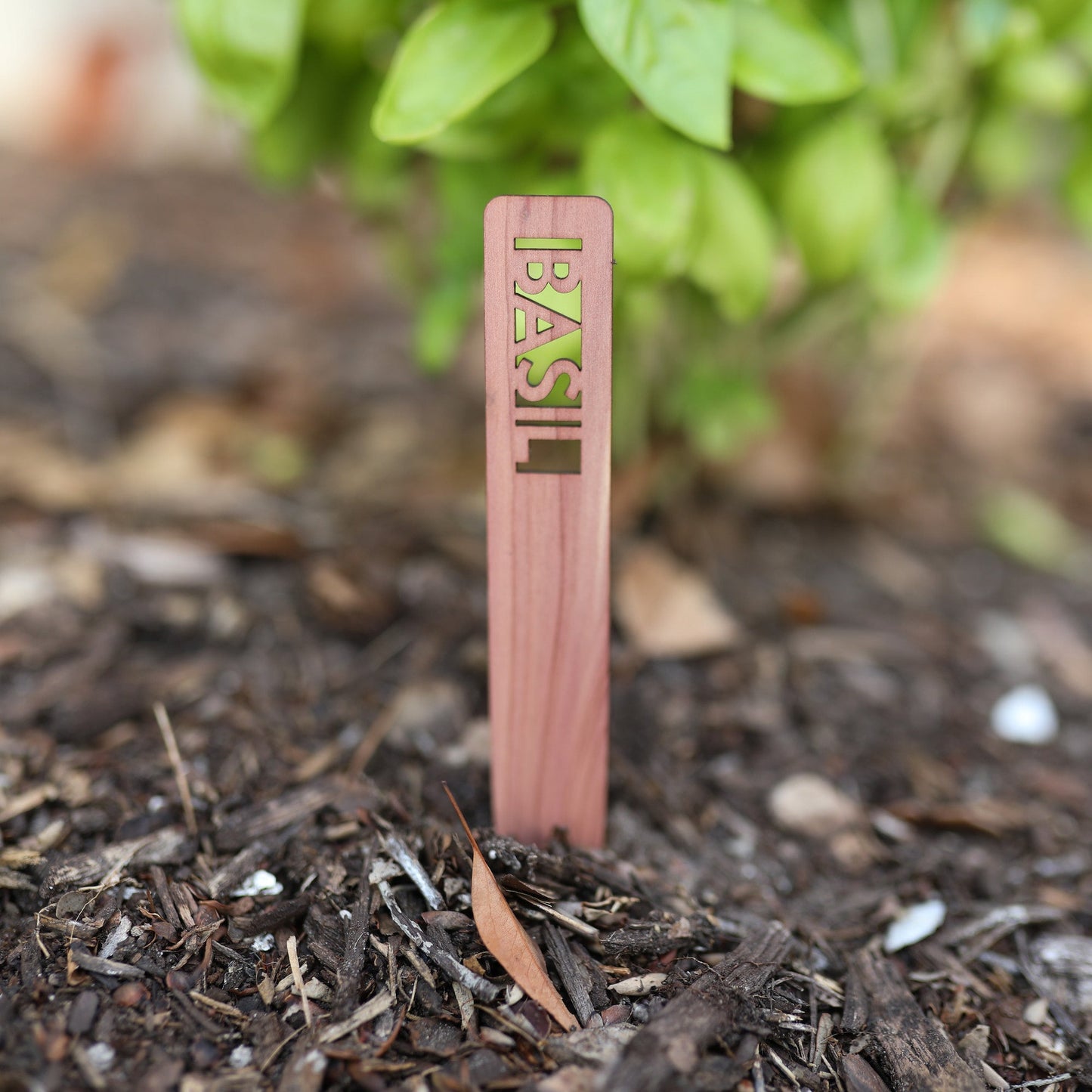 Herb Garden Marker Laser Cut Cedar Wood Basil by LeeMo Designs in Bend, OR