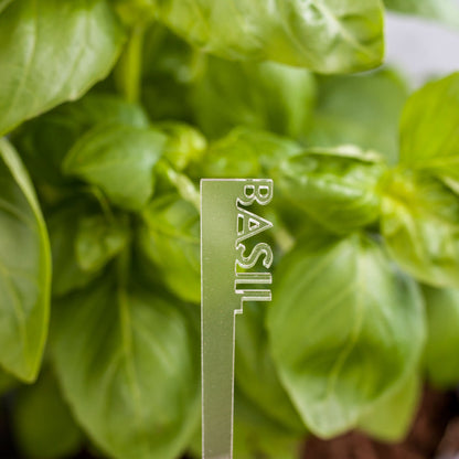 Herb Garden Marker Laser Cut Frosted Acrylic Basil by LeeMo Designs in Bend, OR