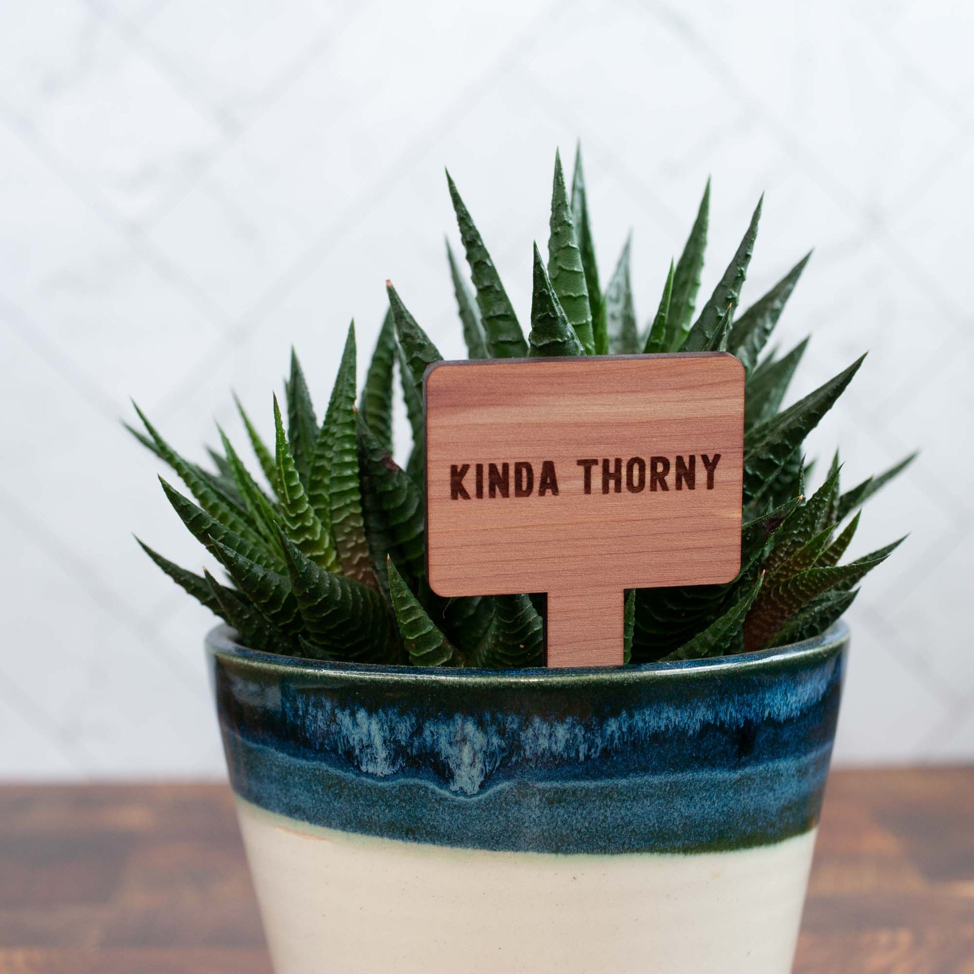 Funny Plant Markers - Cedar Wood - LeeMo Designs