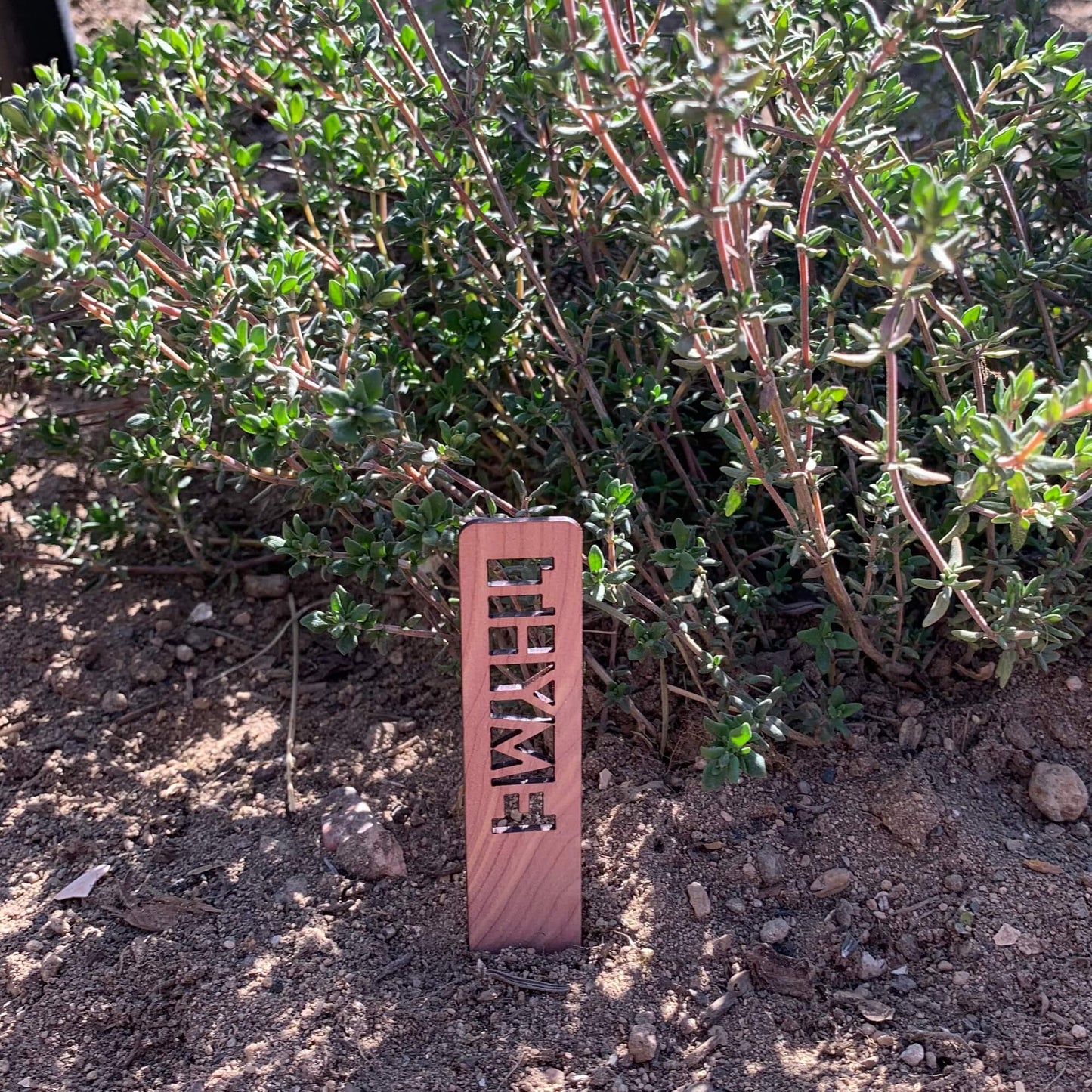 Herb Garden Marker Laser Cut Cedar Wood Thyme by LeeMo Designs in Bend, OR