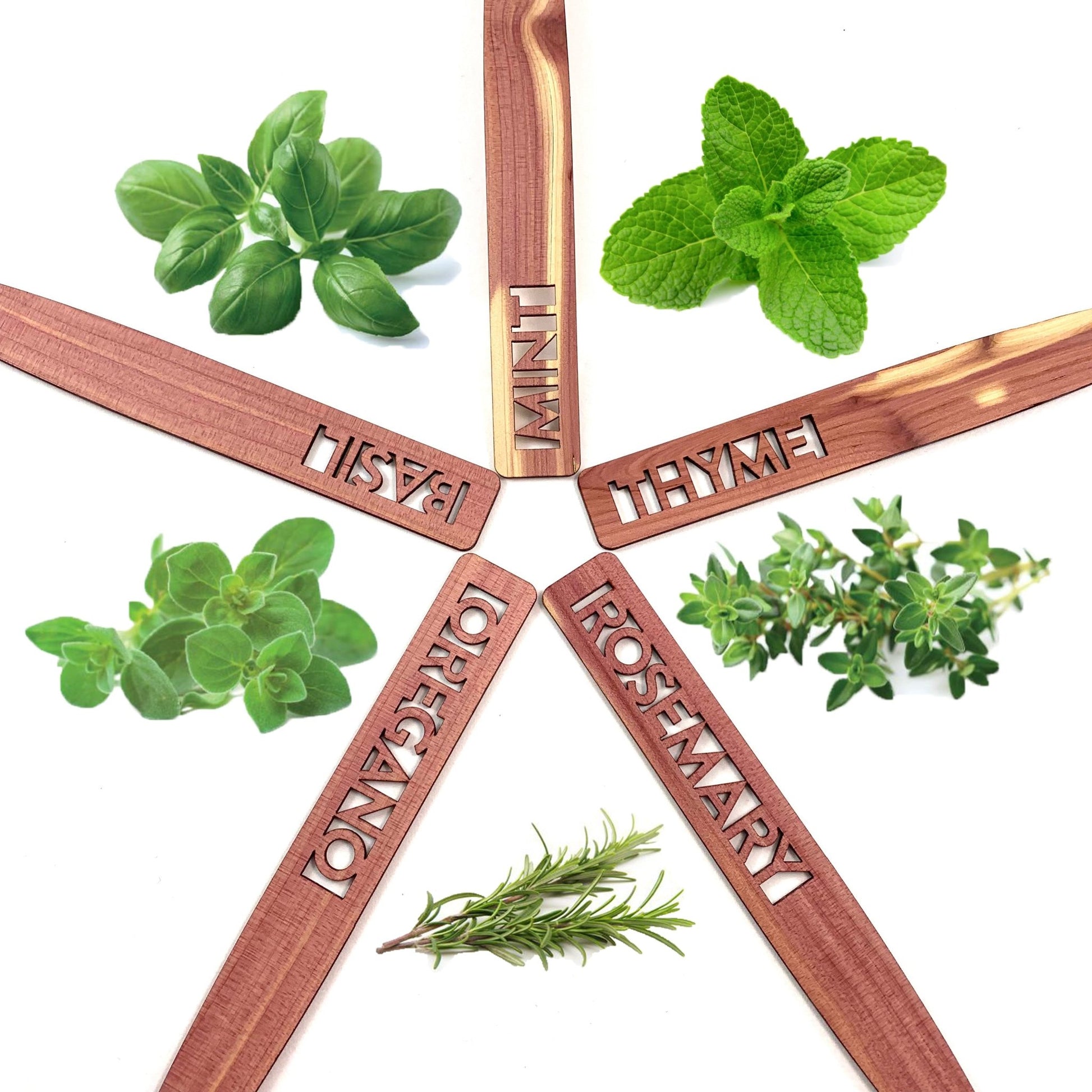 Herb Garden Marker Set - Laser Cut Cedar Wood Markers - Thyme, Rosemary, Oregano, Mint, Basil - by LeeMo Designs in Bend, OR