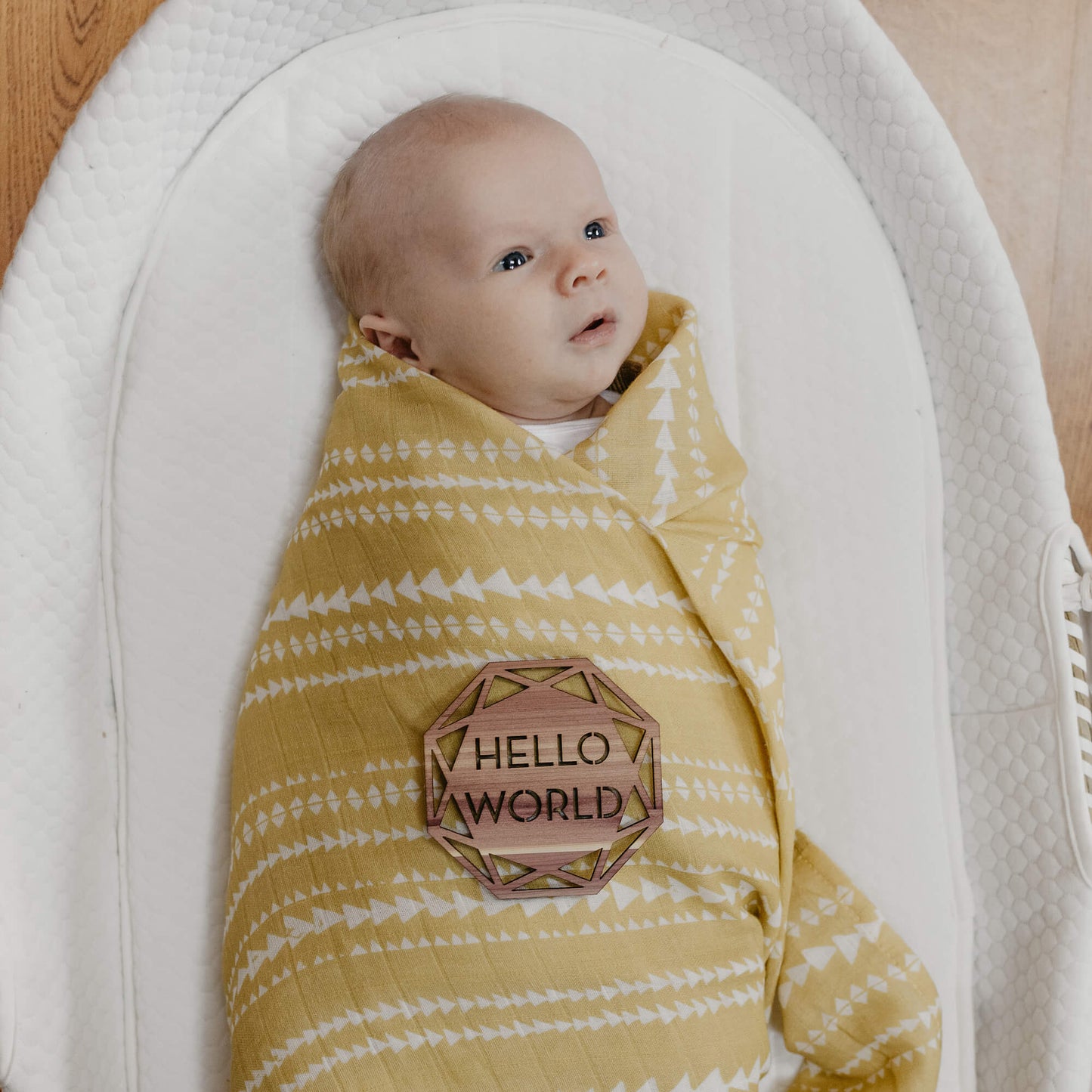 Newborn Announcement Sign - Hello World - LeeMo Designs