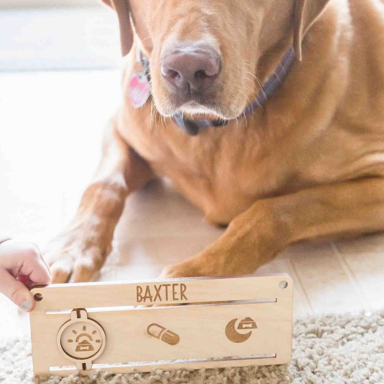 Feed The Dog Pet Care Tracker - laser cut and laser engraved birch wood - by LeeMo Designs in Bend, Oregon