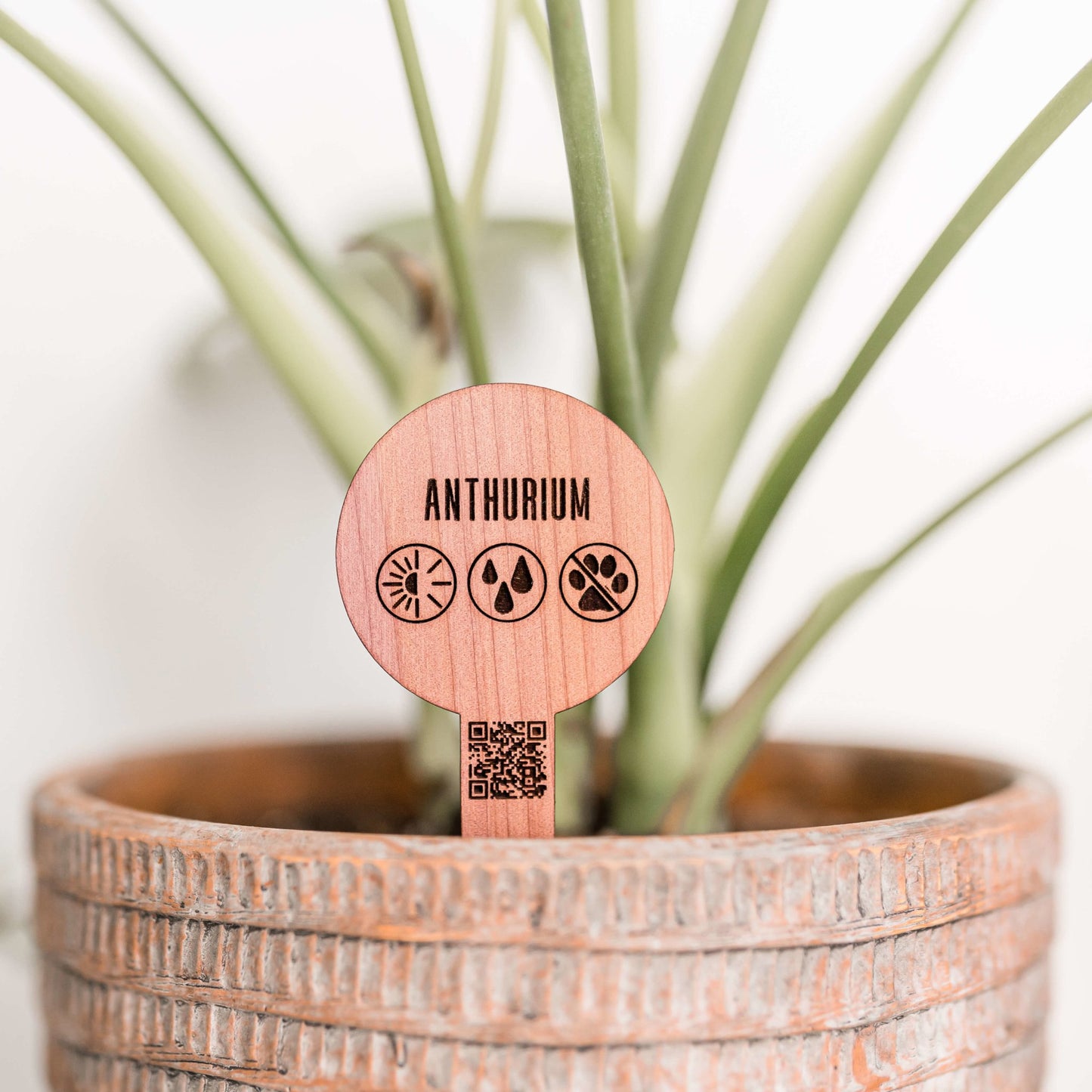 Plant Labels - Cedar - LeeMo Designs