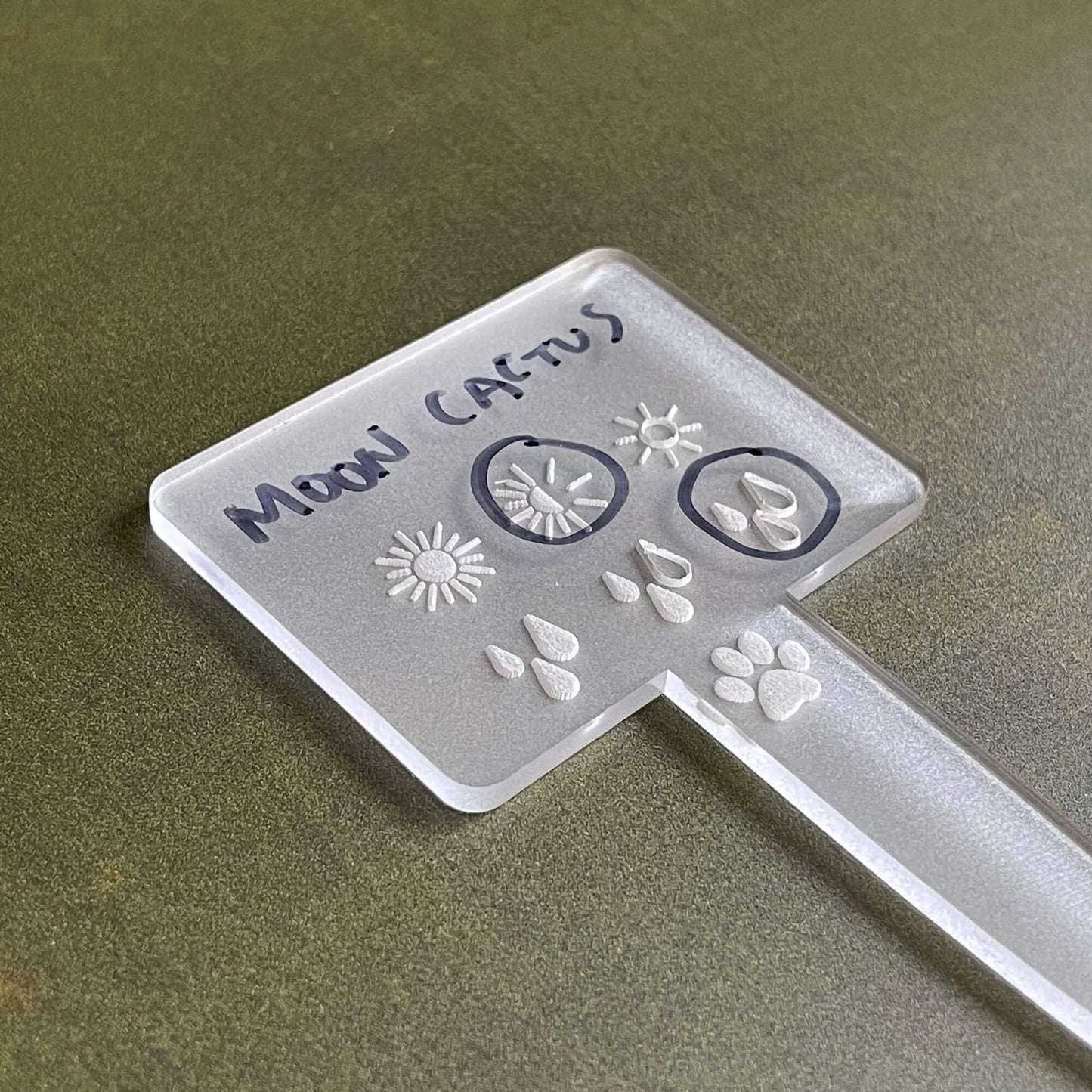 Plant Labels - Dry-Erase Acrylic - LeeMo Designs