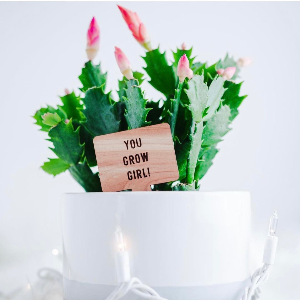 Plant Tags - Cedar Wood - LeeMo Designs