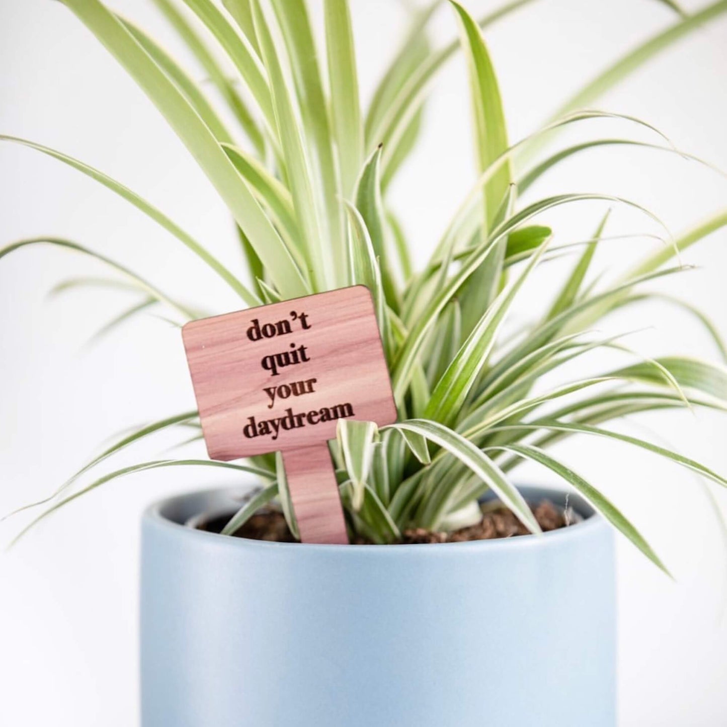 Plant Tags - Cedar Wood - LeeMo Designs