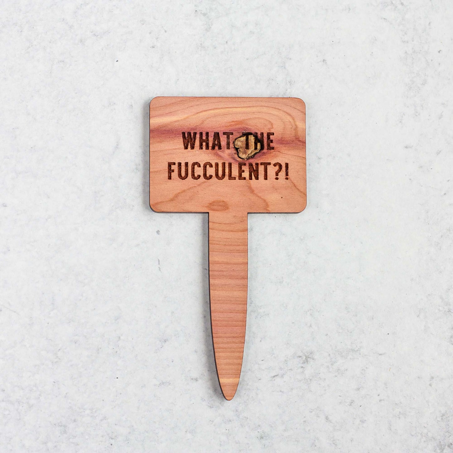 Funny Plant Markers - Laser Cut & Laser Engraved Cedar Wood - "What The Fucculent?!" - by LeeMo Designs in Bend, Oregon